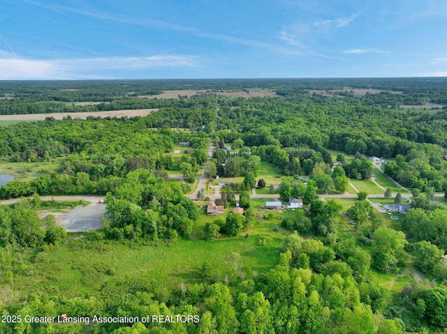 7413 E 5th Point Highway, Eaton Rapids, MI 48827 - view of property location featuring a forest