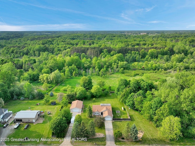 7413 E 5th Point Highway, Eaton Rapids, MI 48827 - aerial view of property's location with a forest
