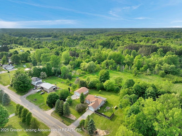 7413 E 5th Point Highway, Eaton Rapids, MI 48827 - aerial view of property's location featuring a forest