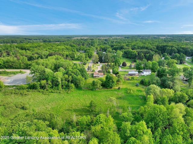 7413 E 5th Point Highway, Eaton Rapids, MI 48827 - aerial view of property and surrounding area featuring a forest
