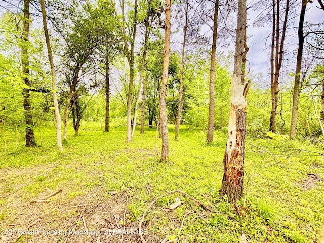 ParcelB Willow, Lansing, MI 48917