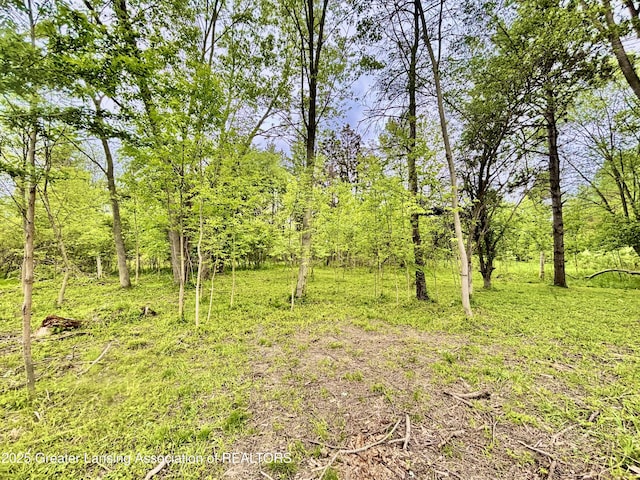 ParcelB Willow, Lansing, MI 48917