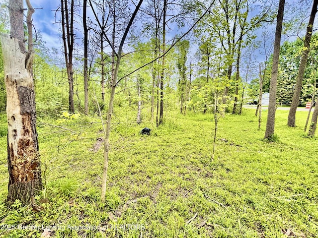 ParcelB Willow, Lansing, MI 48917