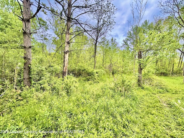 ParcelB Willow, Lansing, MI 48917