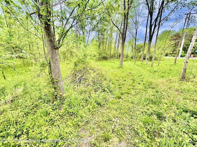 ParcelB Willow, Lansing, MI 48917
