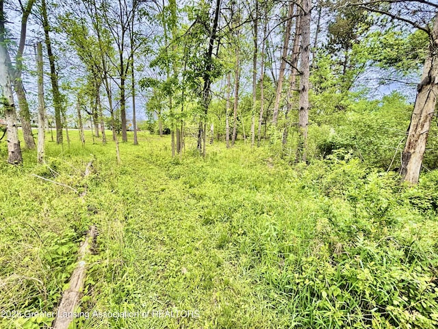 ParcelB Willow, Lansing, MI 48917