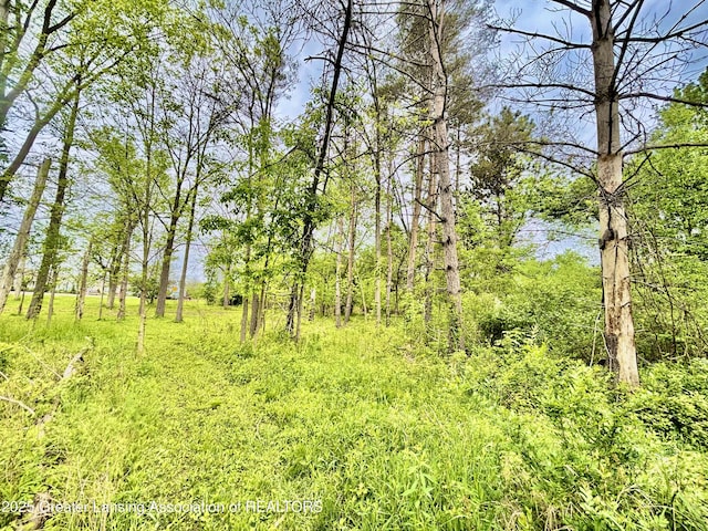 ParcelB Willow, Lansing, MI 48917