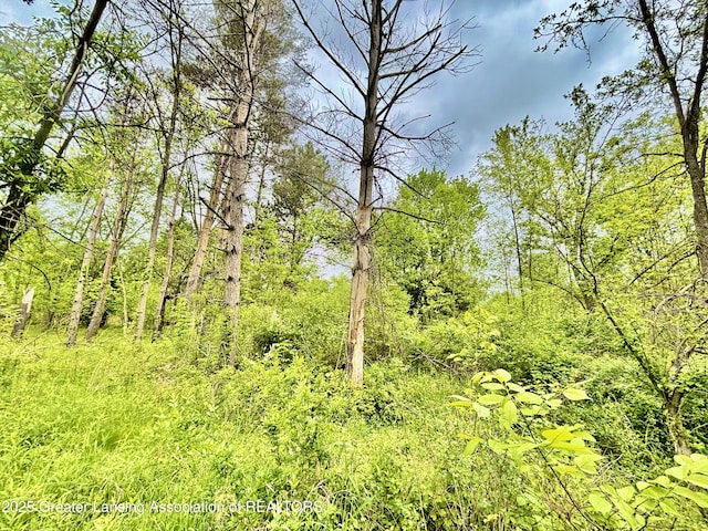 ParcelB Willow, Lansing, MI 48917