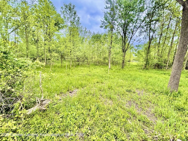 ParcelB Willow, Lansing, MI 48917