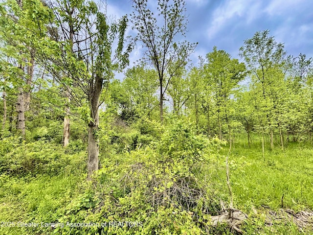 ParcelB Willow, Lansing, MI 48917