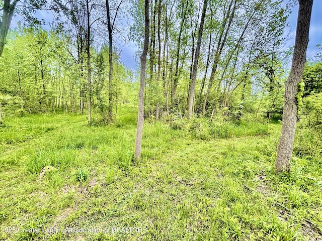 ParcelB Willow, Lansing, MI 48917