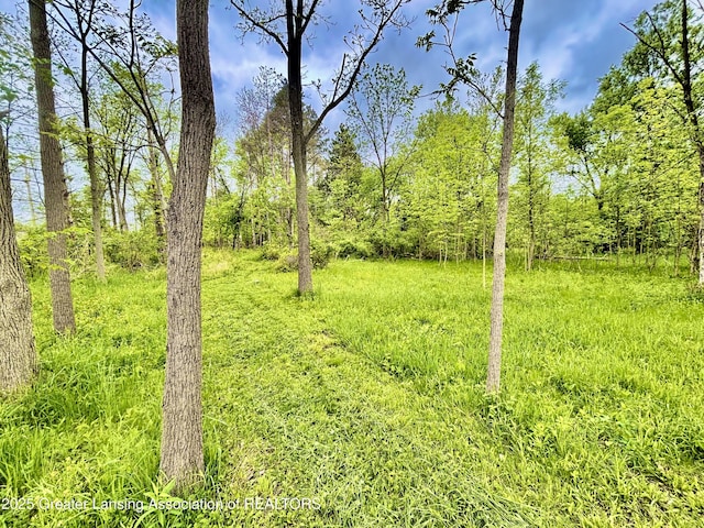 ParcelB Willow, Lansing, MI 48917