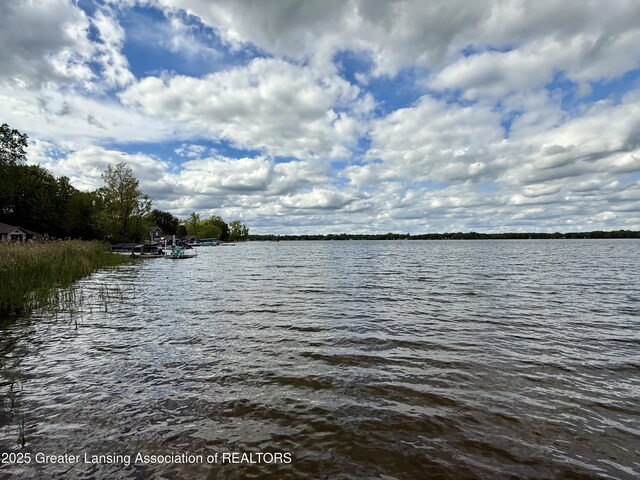 5880 Shaw St, Haslett, MI 48840 - water view