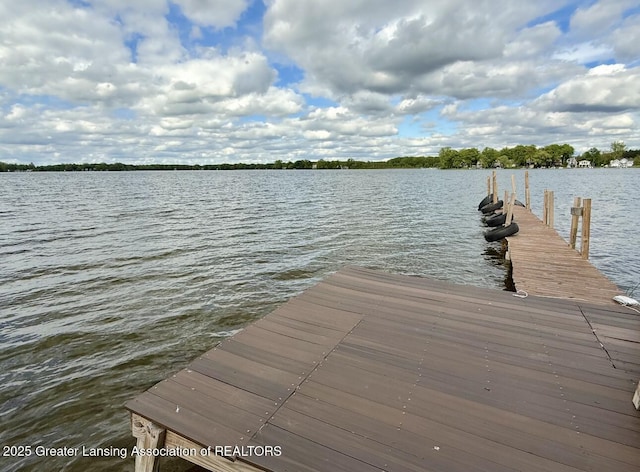 5880 Shaw St, Haslett, MI 48840 - dock area featuring a water view