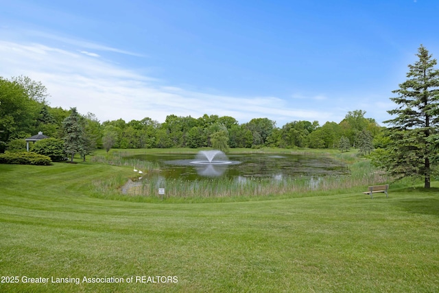 1232 Chemung Forest Dr, Howell, MI 48843 - water view