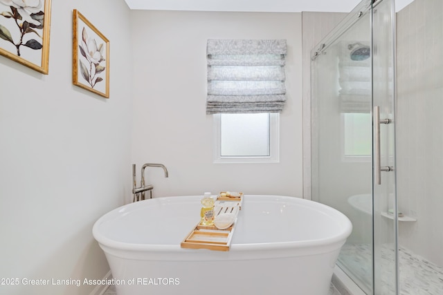 1232 Chemung Forest Dr, Howell, MI 48843 - bathroom featuring a stall shower, a soaking tub, and healthy amount of natural light