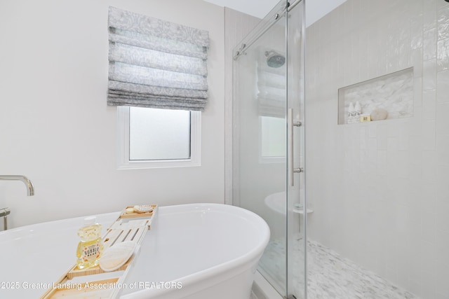1232 Chemung Forest Dr, Howell, MI 48843 - full bath featuring a stall shower and a freestanding tub