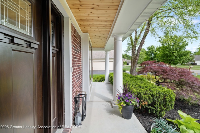1232 Chemung Forest Dr, Howell, MI 48843 - view of porch