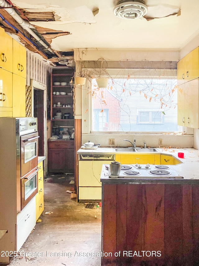 908 N Capitol Ave, Lansing, MI 48906 - kitchen featuring white appliances and a sink