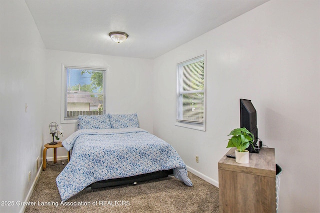 2104 Clifton Ave, Lansing, MI 48910 - bedroom featuring multiple windows, baseboards, and carpet floors