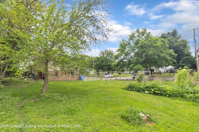 1021 Kendon Dr, Lansing, MI 48910 - view of green lawn