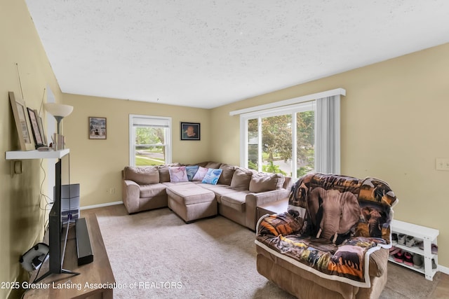 1021 Kendon Dr, Lansing, MI 48910 - living room with baseboards, carpet flooring, and a textured ceiling