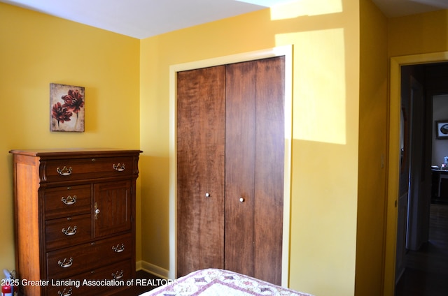 1161 Rebecca Rd, East Lansing, MI 48823 - bedroom with a closet and baseboards