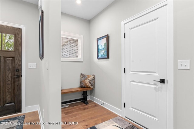 6619 Windford Ln, Grand Ledge, MI 48837 - entryway with light wood-type flooring and baseboards