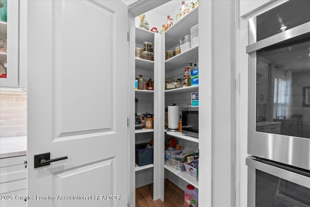 6619 Windford Ln, Grand Ledge, MI 48837 - view of pantry
