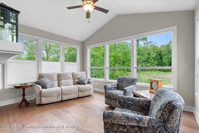 6619 Windford Ln, Grand Ledge, MI 48837 - living room featuring ceiling fan, plenty of natural light, lofted ceiling, wood finished floors, and baseboards