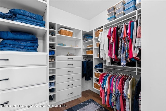 6619 Windford Ln, Grand Ledge, MI 48837 - spacious closet with wood finished floors