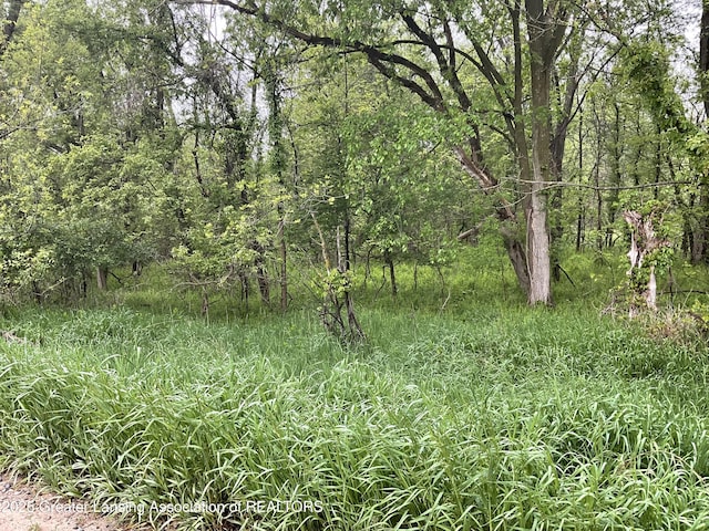 0 Carlisle Hwy, Charlotte, MI 48813