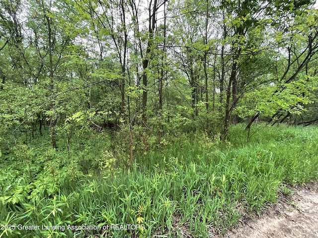 0 Carlisle Hwy, Charlotte, MI 48813