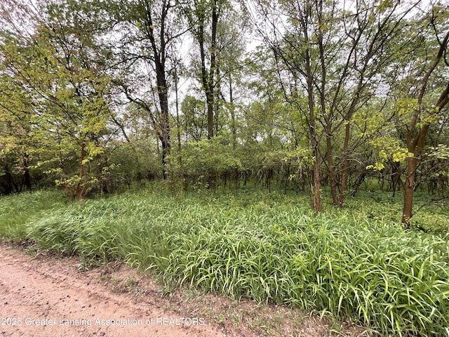 0 Carlisle Hwy, Charlotte, MI 48813