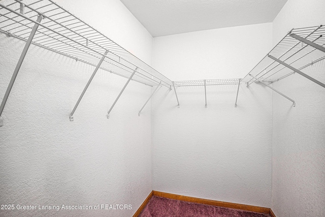 3037 Hawley Rd, Leslie, MI 49251 - walk in closet featuring carpet floors