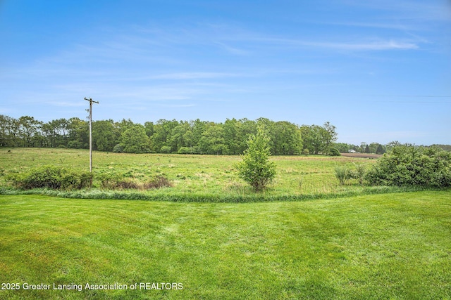 3037 Hawley Rd, Leslie, MI 49251 - view of grassy yard featuring a rural view