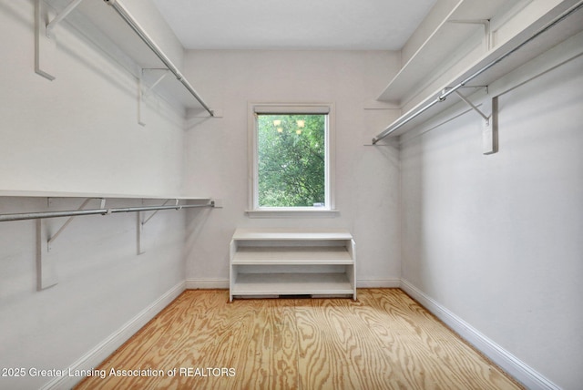 4250 S Williams Rd, Stockbridge, MI 49285 - walk in closet featuring light wood-style flooring