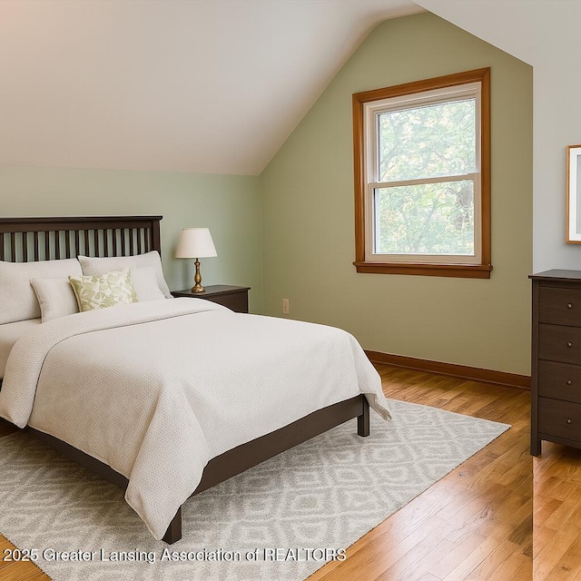 710 Gainsborough Dr, East Lansing, MI 48823 - bedroom featuring light wood finished floors and lofted ceiling