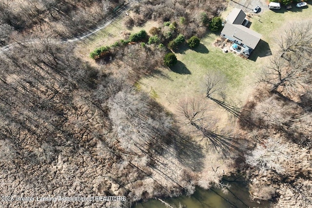 18975 Doyle Ct, Gregory, MI 48137 - aerial view of property and surrounding area