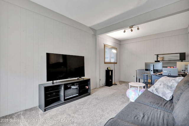 1580 Grayfriars Ave, Holt, MI 48842 - carpeted living area with wooden walls