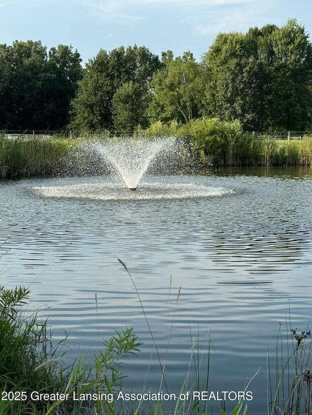 4740 Round Lake Rd, Laingsburg, MI 48848 - water view