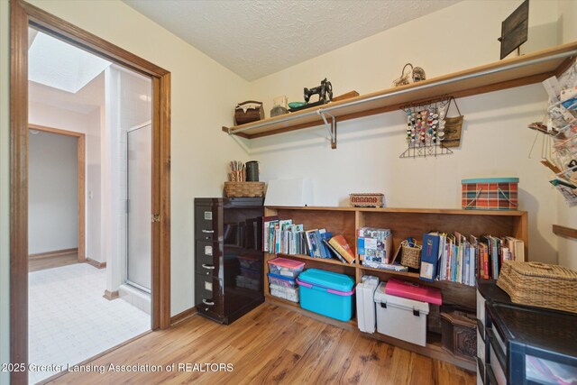 10949 Lakeside Dr, Perrinton, MI 48871 - view of storage area