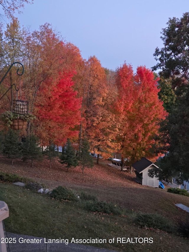 10949 Lakeside Dr, Perrinton, MI 48871 - view of yard