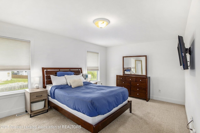 15145 Nottingham Fields Pkwy, Lansing, MI 48906 - bedroom featuring multiple windows, light carpet, and baseboards