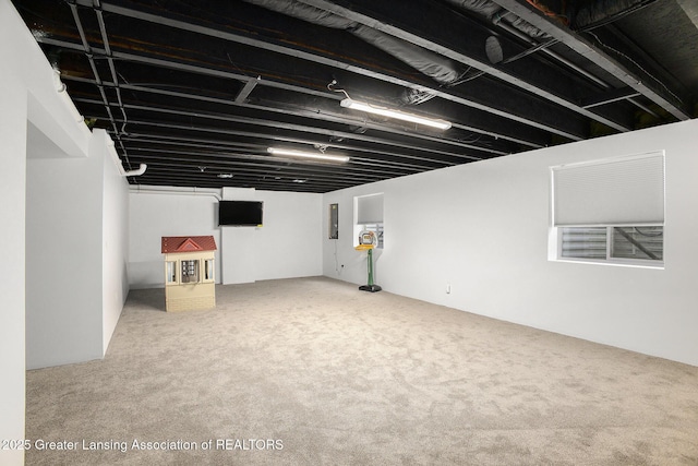 15145 Nottingham Fields Pkwy, Lansing, MI 48906 - finished basement featuring carpet