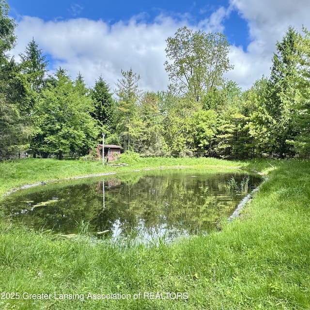 1571 Menominee Dr, Mason, MI 48854