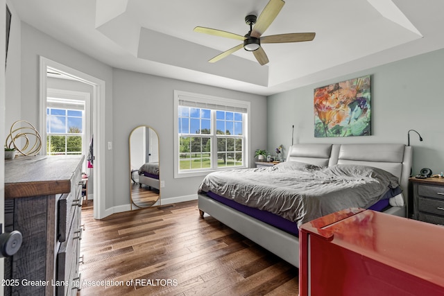1600 Tuttle Rd, Mason, MI 48854 - bedroom featuring a tray ceiling, wood-type flooring, multiple windows, and baseboards