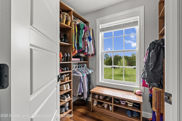 1600 Tuttle Rd, Mason, MI 48854 - spacious closet featuring dark wood-style flooring