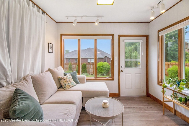 4626 Blackberry Ln, Lansing, MI 48917 - living room with rail lighting, baseboards, light wood-style flooring, and ornamental molding