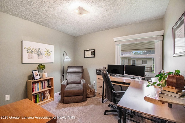 4626 Blackberry Ln, Lansing, MI 48917 - office area with a textured ceiling and carpet flooring